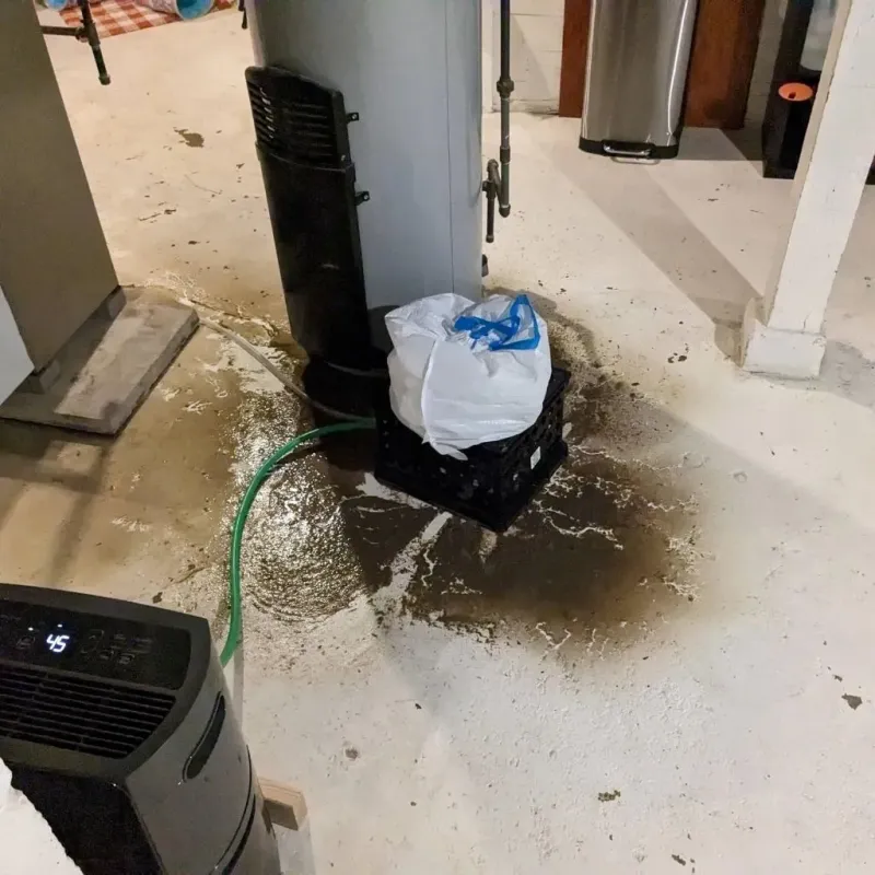 Sewage Backup Cleanup Service in Nescopeck, PA